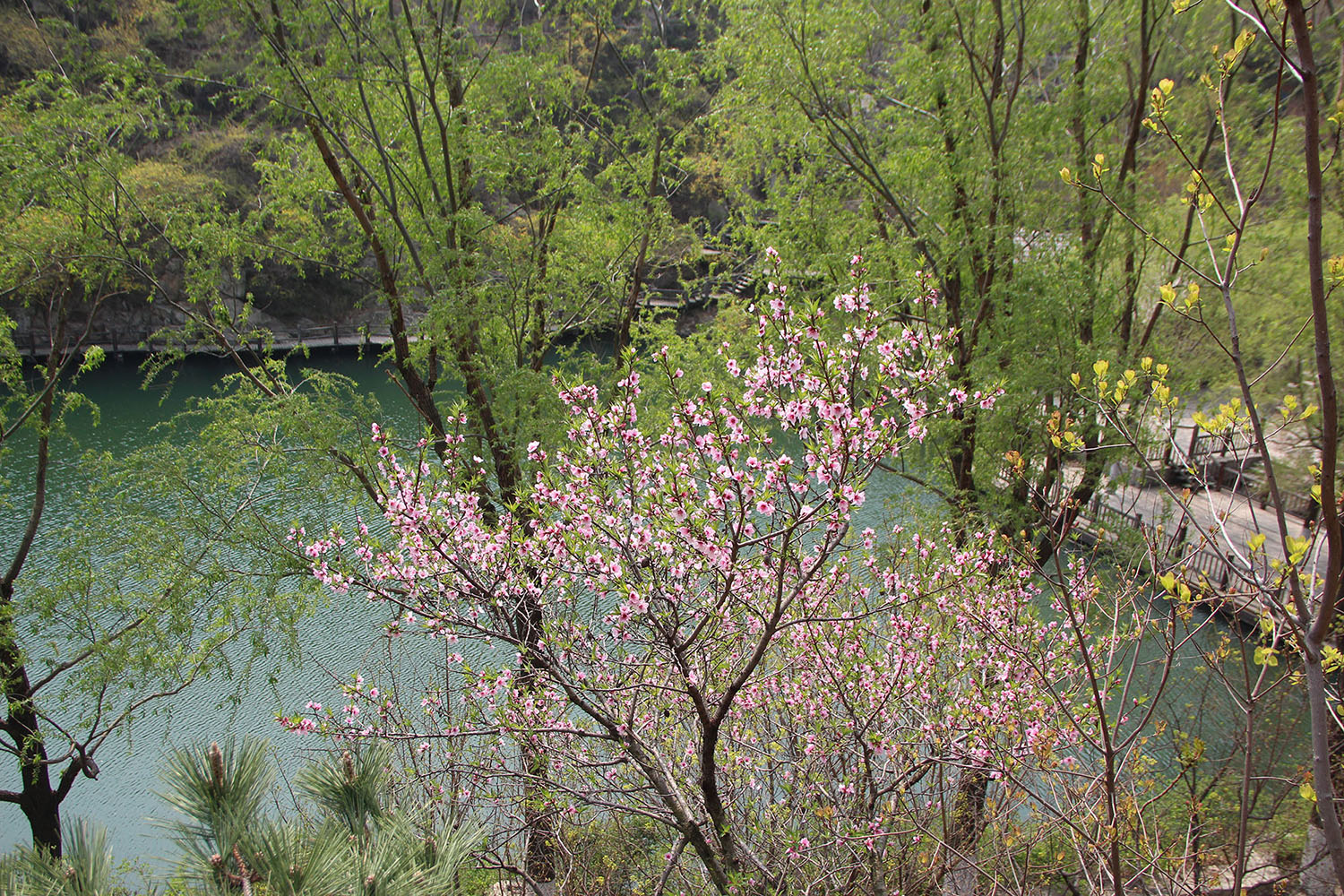 2021，濟(jì)南辰達(dá)試驗(yàn)機(jī)制造有限公司九如山一日游！